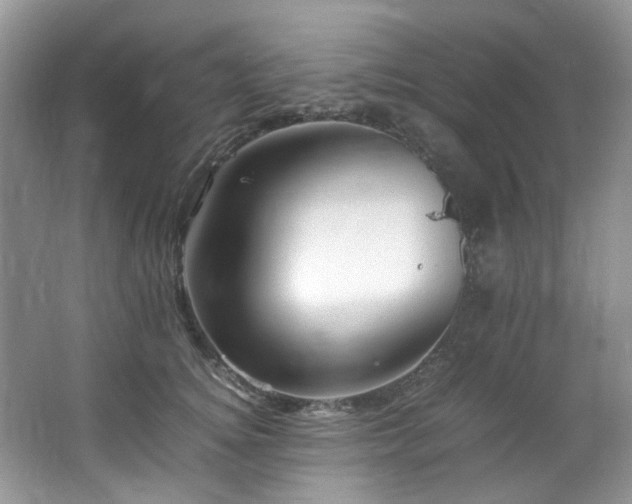 X0000064730756200602101149