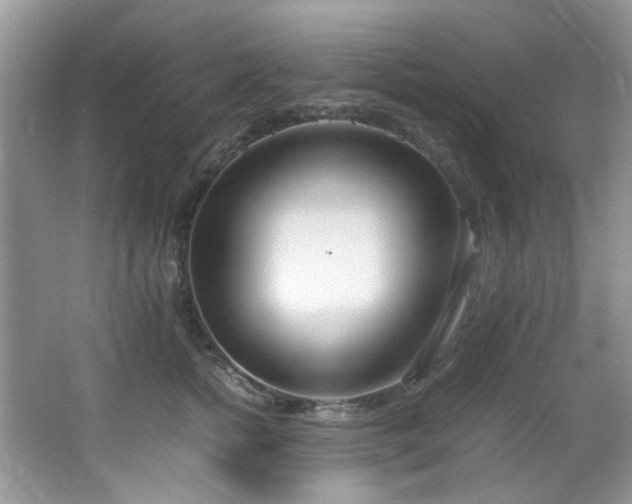 X0000064730758200602101149