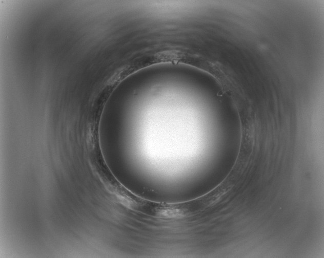 X0000064730759200602101149