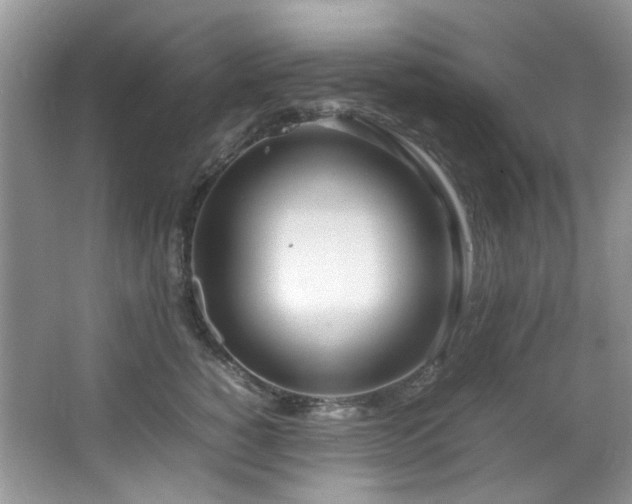 X0000064730760200602101149