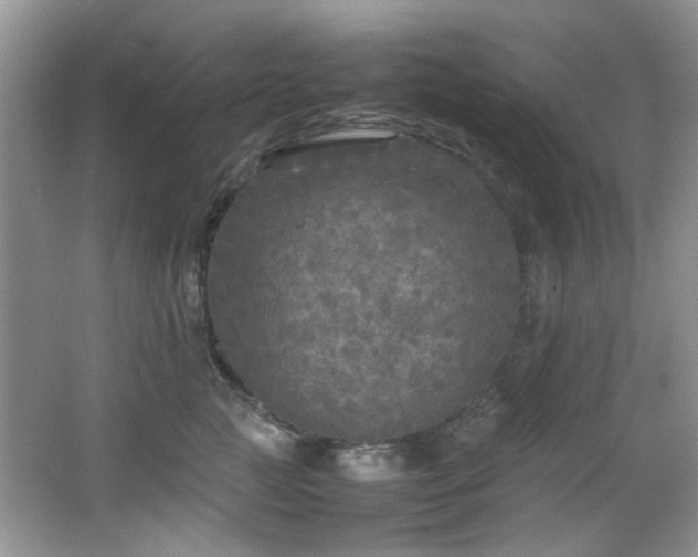 X0000064730761200602101149