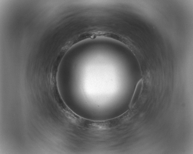 X0000064730763200602101150