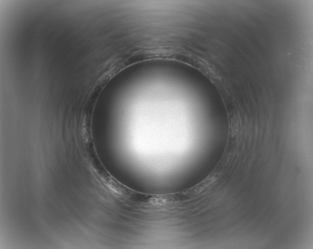 X0000064730764200602101150