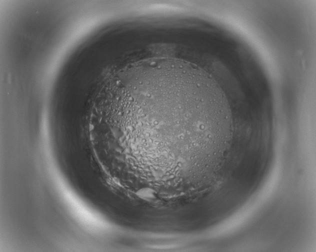 X0000064730765200602101150