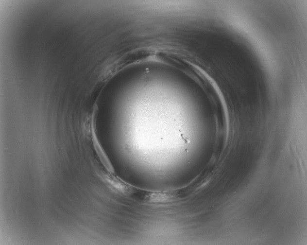 X0000064730766200602101150