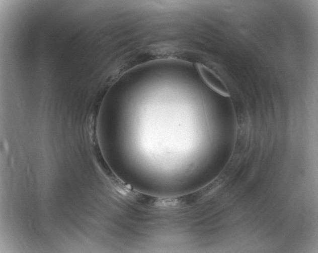 X0000064730767200602101150