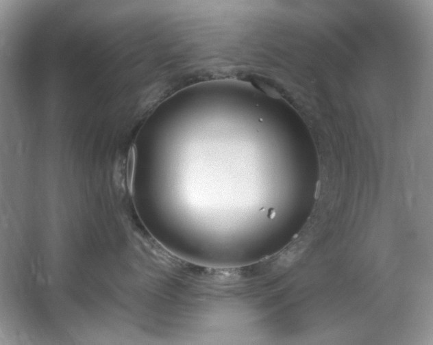 X0000064730768200602101150