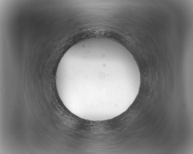 X0000064730769200602101149