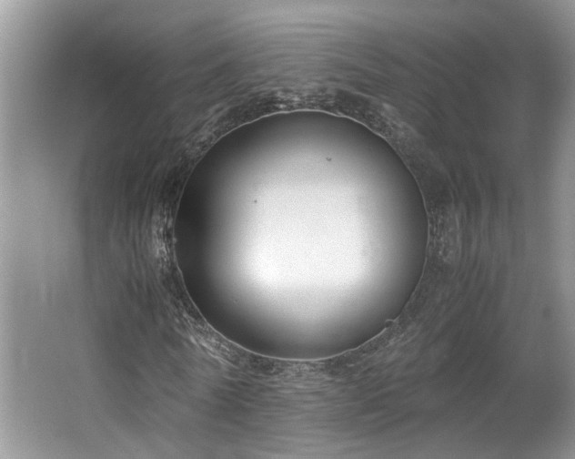 X0000064730770200602101149