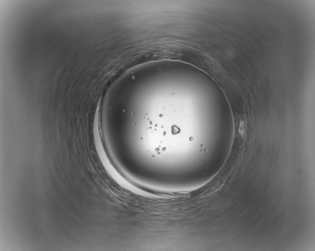 X0000064730771200602101149