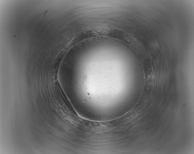 X0000064730772200602101149