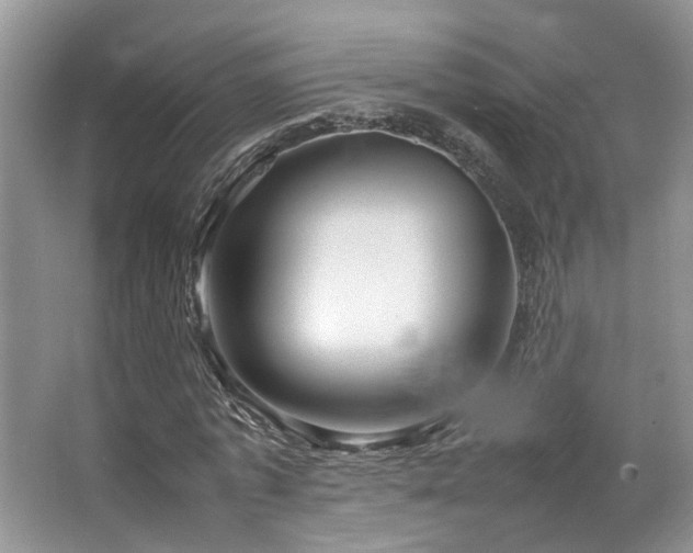 X0000064730773200602101149