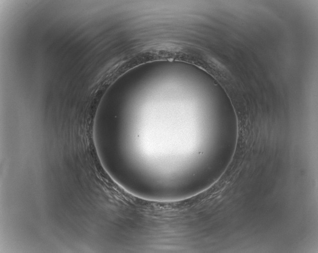 X0000064730774200602101149