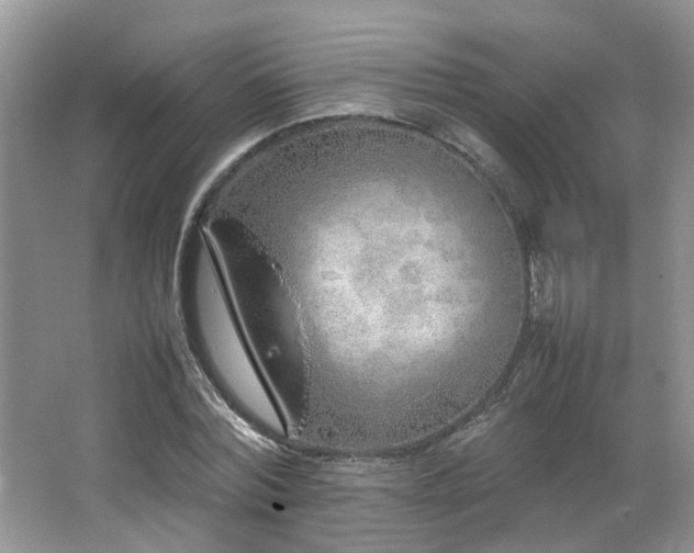 X0000064730780200602101149