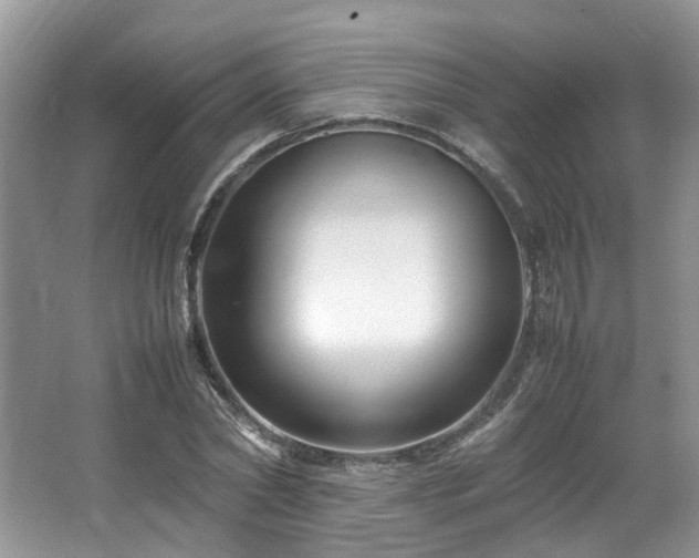 X0000064730782200602101149