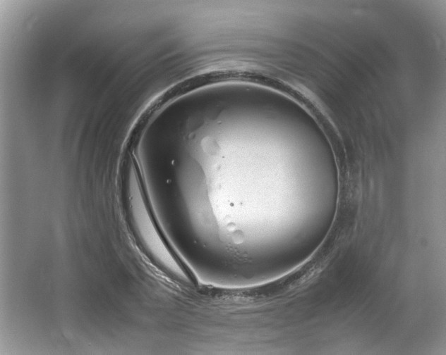 X0000064730783200602101149