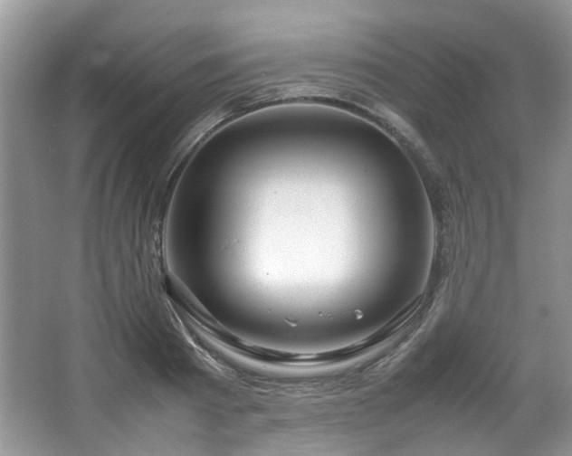 X0000064730793200602101148