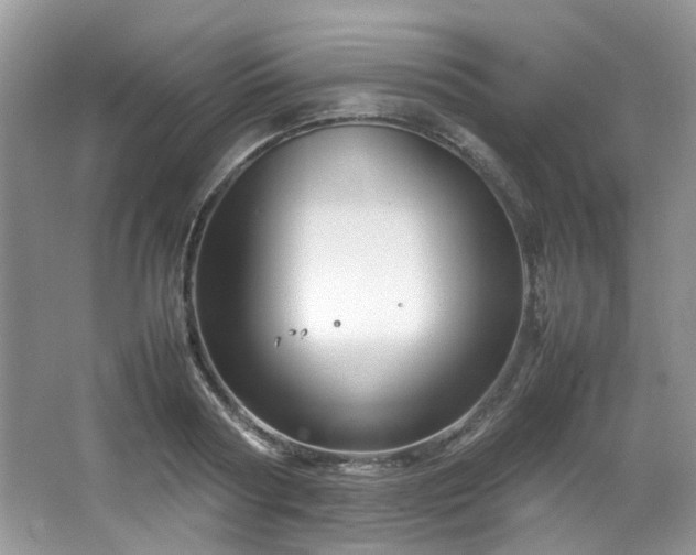 X0000064730794200602101148