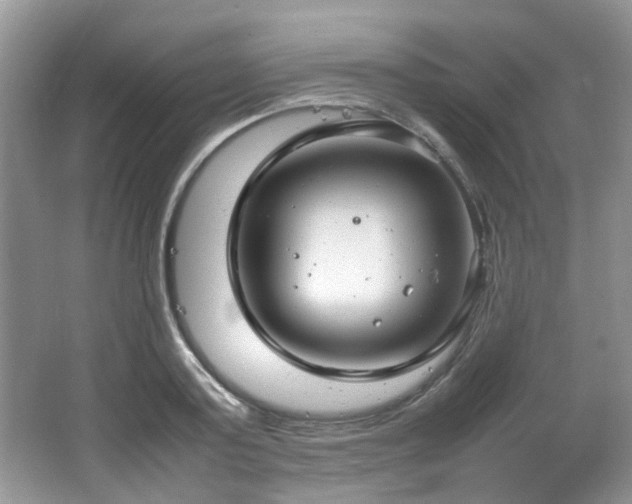 X0000064730795200602101148