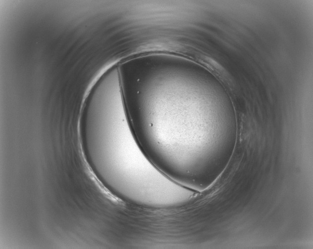 X0000064730796200602101148