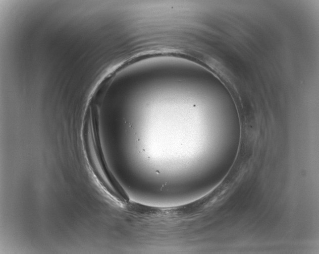 X0000064730797200602101148