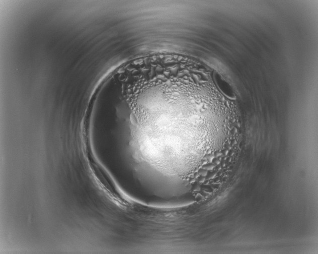 X0000064730798200602101148