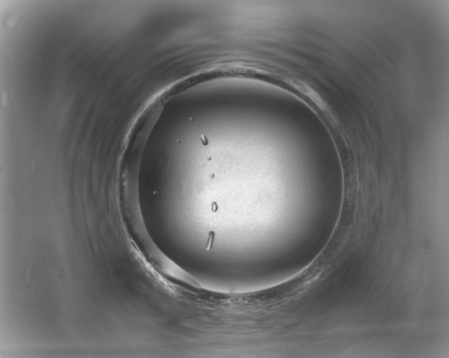 X0000064730799200602101148