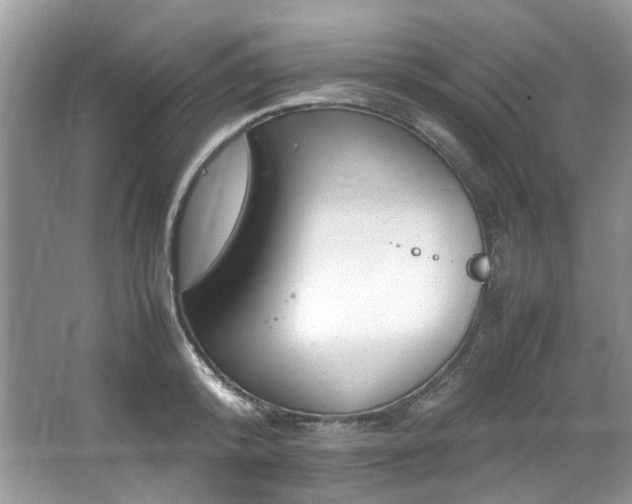 X0000064730800200602101148