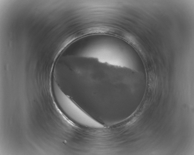 X0000064730802200602101148