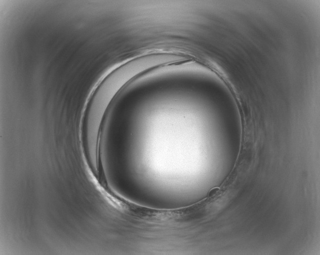 X0000064730803200602101148