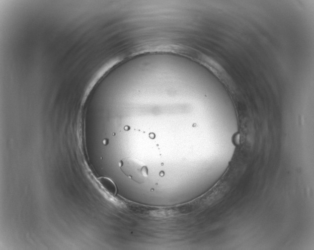 X0000064730804200602101148