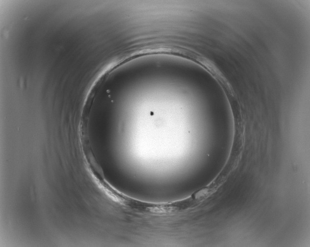 X0000064730805200602101148