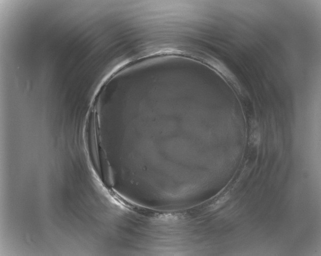 X0000064730806200602101148