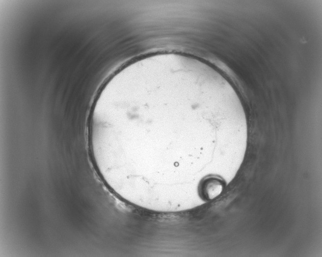 X0000064730807200602101148