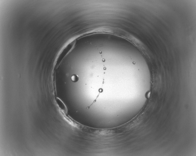 X0000064730808200602101148