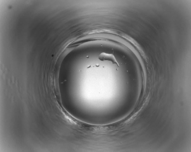 X0000064730809200602101148