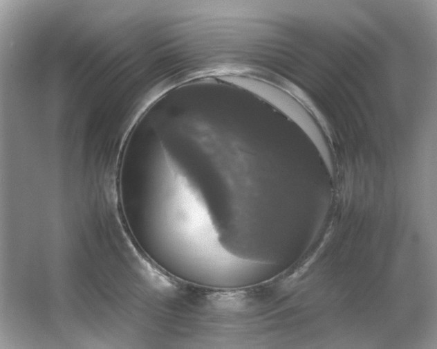 X0000064730810200602101148