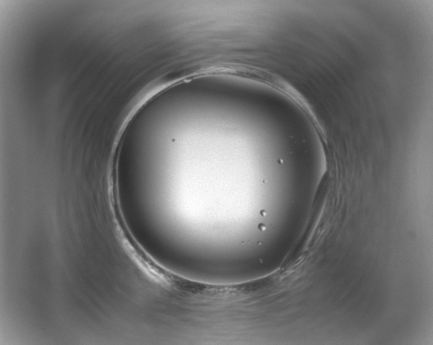 X0000064730811200602101148