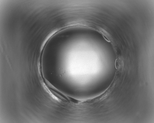 X0000064730812200602101148