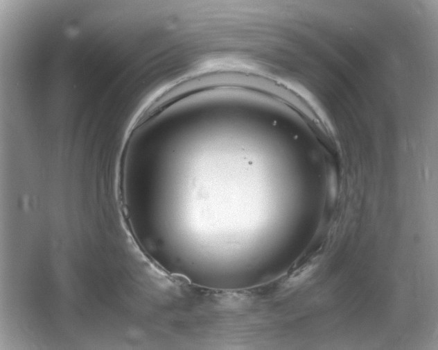 X0000064730815200602101148