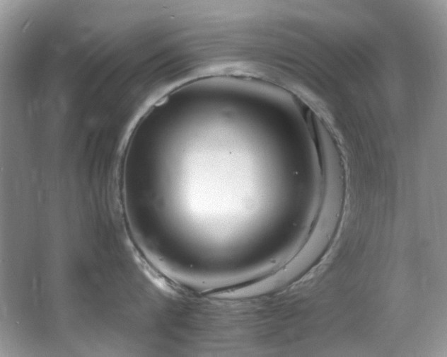 X0000064730816200602101148