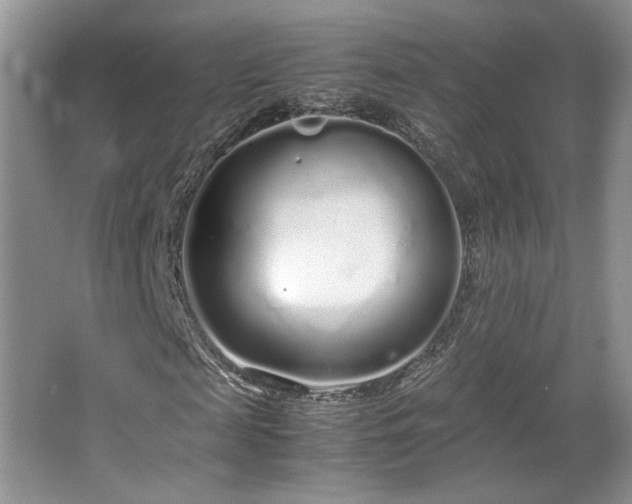 X0000064730817200602101147