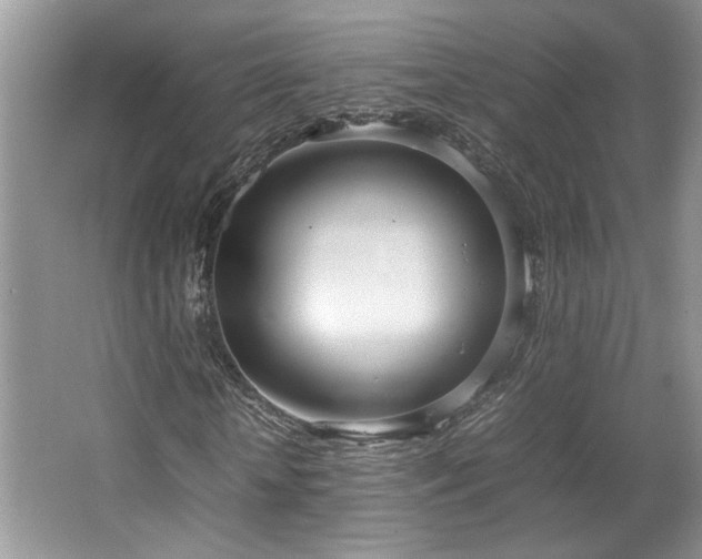 X0000064730818200602101147