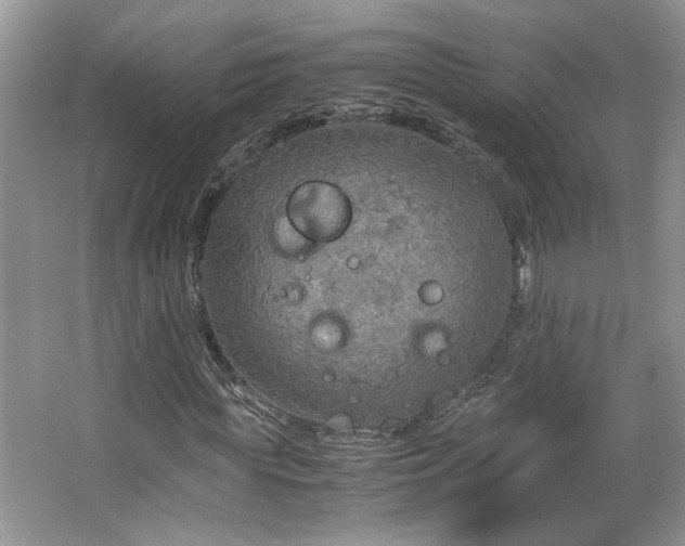 X0000064730819200602101147