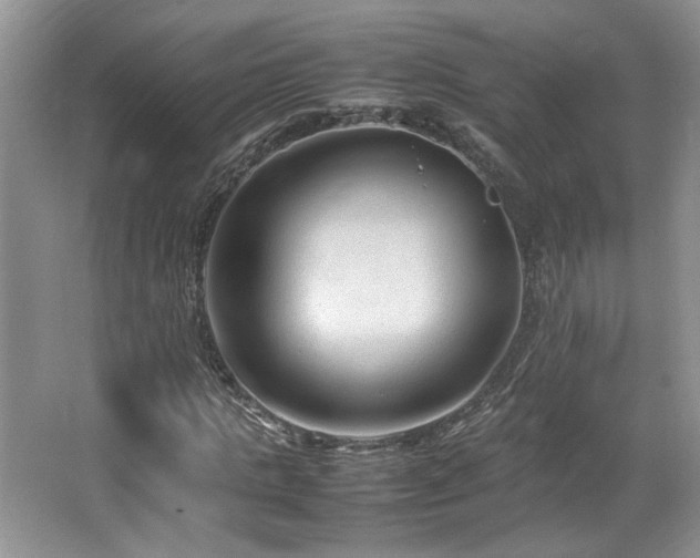 X0000064730821200602101147