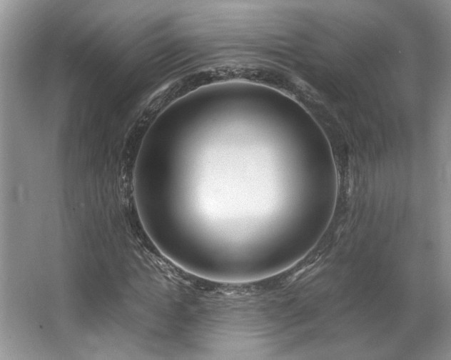 X0000064730822200602101147