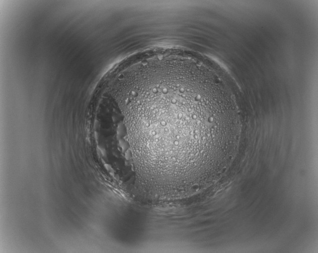 X0000064730823200602101147