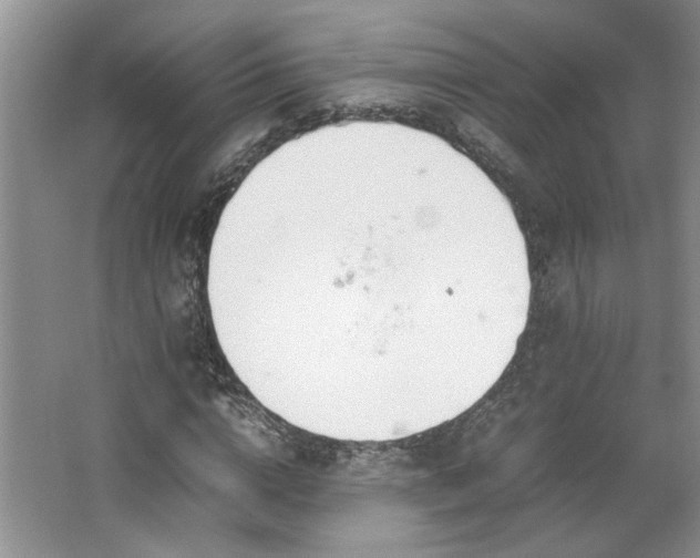 X0000064730824200602101147