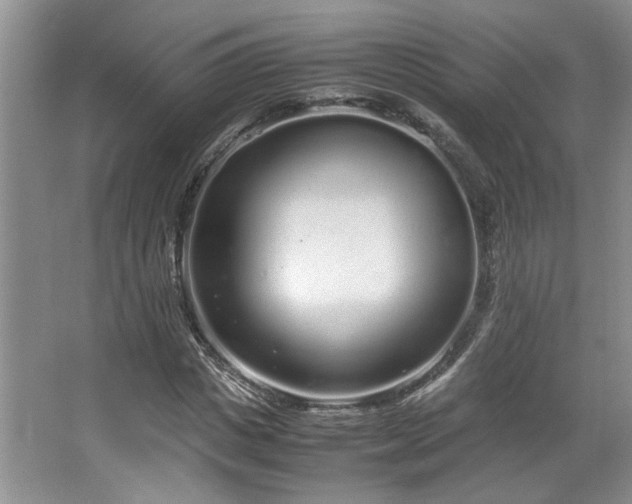 X0000064730825200602101147