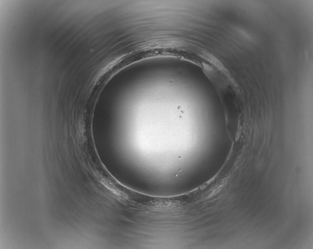 X0000064730826200602101147